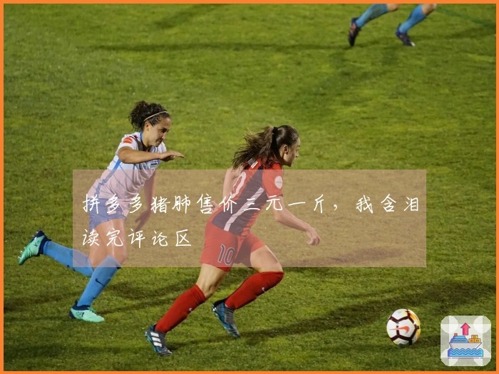 拼多多猪肺售价三元一斤，我含泪读完评论区