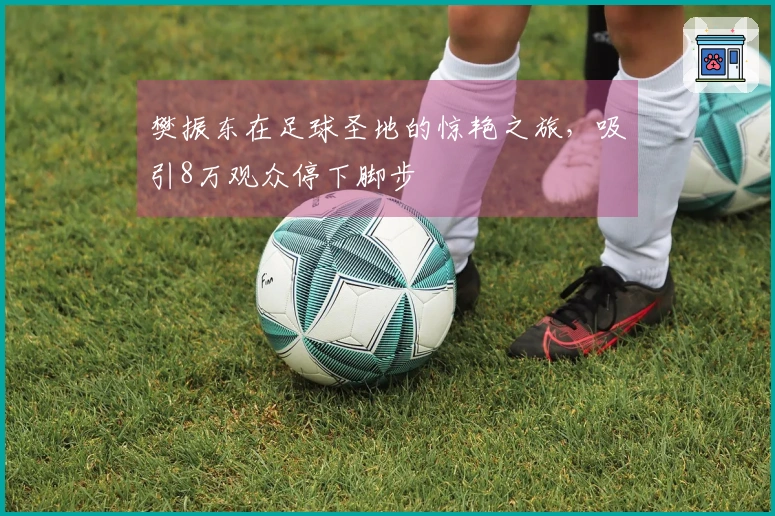 樊振东在足球圣地的惊艳之旅，吸引8万观众停下脚步